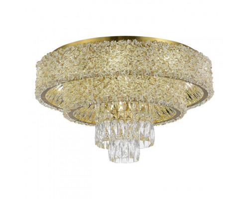 Оформить заказ Накладная люстра ST-Luce SL1637.302.16| VIVID-LIGHT.RU