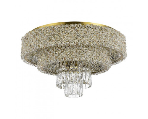 Оформить заказ Накладная люстра ST-Luce SL1637.302.16| VIVID-LIGHT.RU