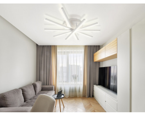 Заказать Накладная люстра Natali Kovaltseva LED LAMPS 81171| VIVID-LIGHT.RU