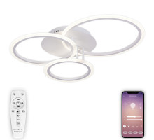 Накладная люстра Natali Kovaltseva LED LAMPS 81175