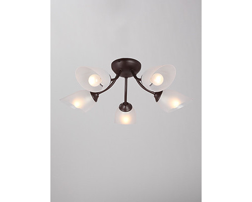 Купить Накладная люстра Vitaluce V3404/5PL| VIVID-LIGHT.RU