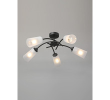 Накладная люстра Vitaluce V2850-1/5PL