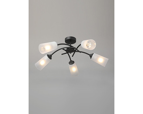 Заказать Накладная люстра Vitaluce V2850-1/5PL| VIVID-LIGHT.RU