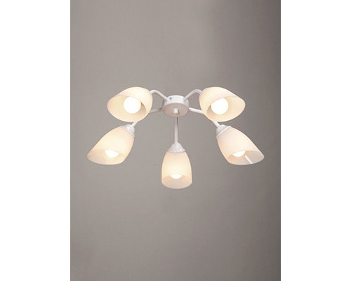 Купить Накладная люстра Vitaluce V31950/5PL| VIVID-LIGHT.RU