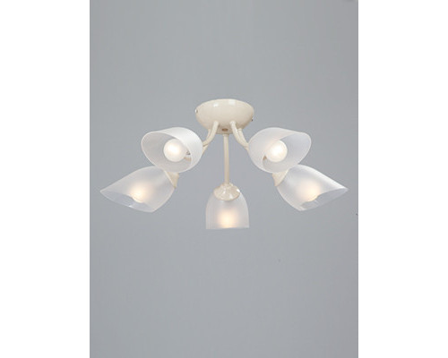 Оформить заказ Накладная люстра Vitaluce V3405/5PL| VIVID-LIGHT.RU