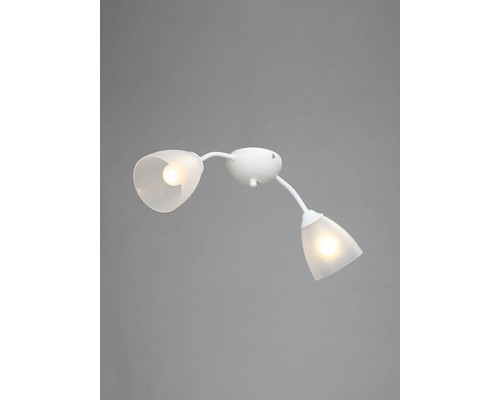 Оформить заказ Накладная люстра Vitaluce V3737-0/2PL| VIVID-LIGHT.RU