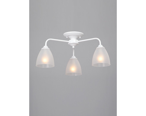 Сделать заказ Накладная люстра Vitaluce V3946-0/3PL| VIVID-LIGHT.RU