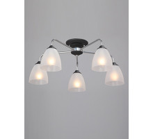 Накладная люстра Vitaluce V3946-1/5PL