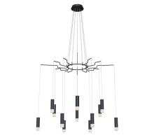 Подвесная люстра Maytoni MOD035PL-12B