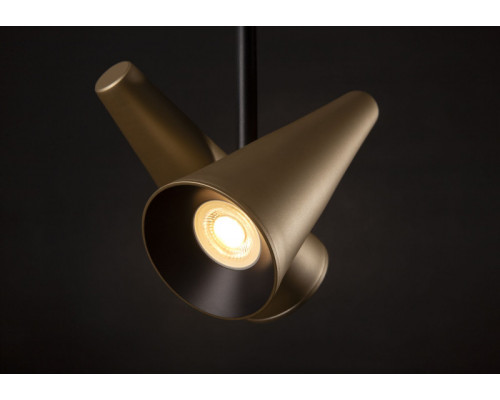 Оформить заказ Подвесная люстра Maytoni MOD095PL-02BS| VIVID-LIGHT.RU