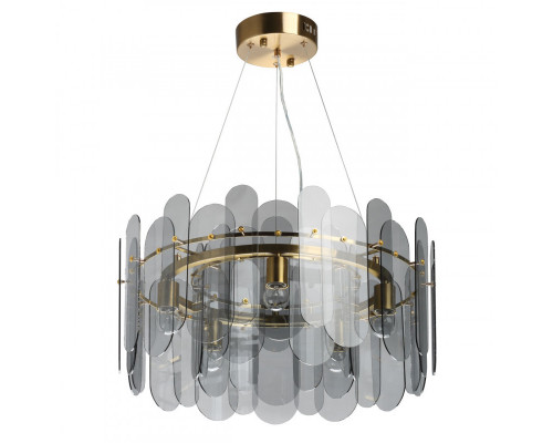 Оформить заказ Подвесная люстра DeMarkt 111014905| VIVID-LIGHT.RU