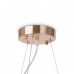 Купить Подвесная люстра Freya FR5217PL-05FG| VIVID-LIGHT.RU