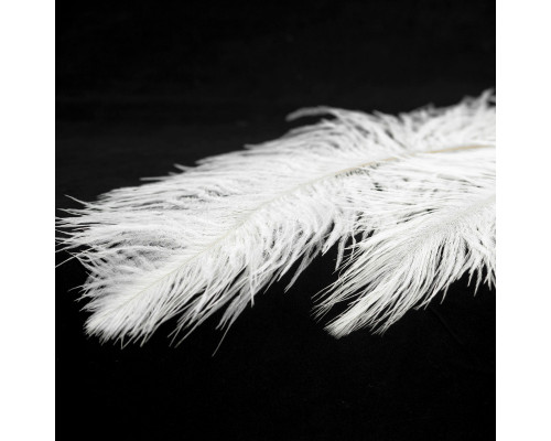 Купить Подвесная люстра Lussole LSP-8600| VIVID-LIGHT.RU