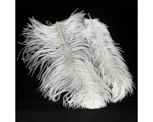 Купить Подвесная люстра Lussole LSP-8600| VIVID-LIGHT.RU