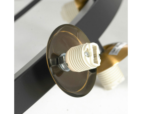 Оформить заказ Подвесная люстра LOFT LSP-8750| VIVID-LIGHT.RU