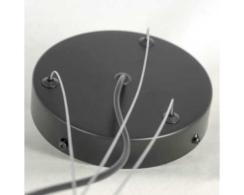 Оформить заказ Подвесная люстра LOFT LSP-8750| VIVID-LIGHT.RU