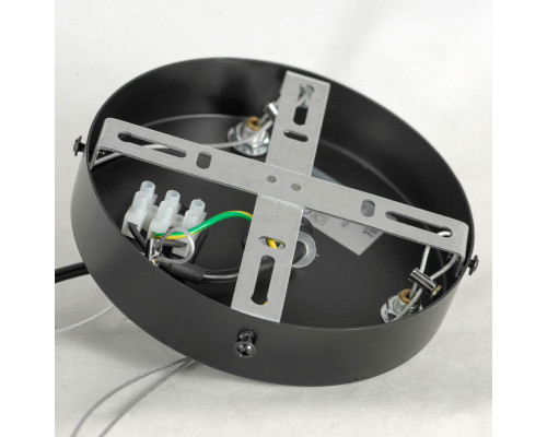 Оформить заказ Подвесная люстра LOFT LSP-8750| VIVID-LIGHT.RU