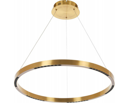 Оформить заказ Подвесная люстра MyFar MR1240-PL| VIVID-LIGHT.RU