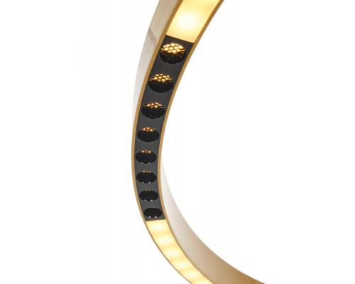 Оформить заказ Подвесная люстра MyFar MR1240-PL| VIVID-LIGHT.RU