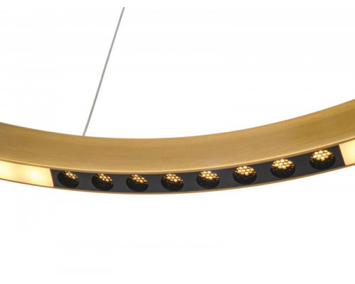 Оформить заказ Подвесная люстра MyFar MR1240-PL| VIVID-LIGHT.RU