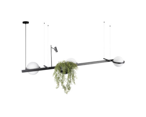 Оформить заказ Подвесная люстра LOFT IT 10121/C| VIVID-LIGHT.RU