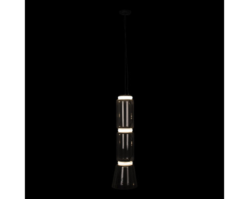 Купить Подвесная люстра LOFT IT 10193/M| VIVID-LIGHT.RU