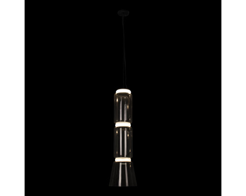 Купить Подвесная люстра LOFT IT 10193/M| VIVID-LIGHT.RU