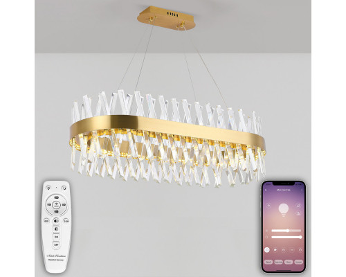 Заказать Подвесная люстра Natali Kovaltseva LED LAMPS 81248| VIVID-LIGHT.RU
