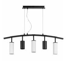 Подвесная люстра Lightstar LR735372863