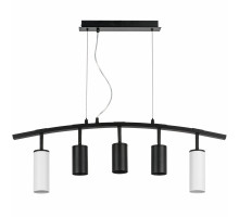 Подвесная люстра Lightstar LR735862373