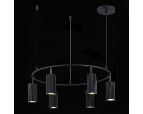 Заказать Подвесная люстра ST-Luce SL1213.403.06| VIVID-LIGHT.RU