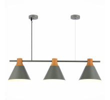 Подвесная люстра Evoluce SLE125113-03