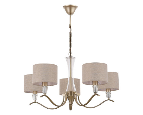 Оформить заказ Подвесная люстра Evoluce SLE1126-203-05| VIVID-LIGHT.RU