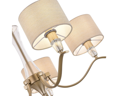 Оформить заказ Подвесная люстра Evoluce SLE1126-203-05| VIVID-LIGHT.RU