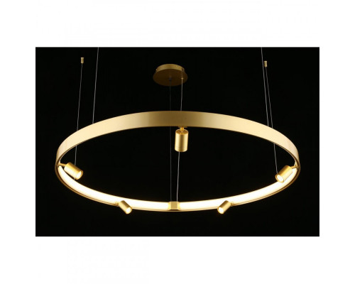 Заказать Подвесная люстра APLOYT APL.041.03.75| VIVID-LIGHT.RU