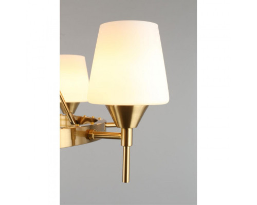 Купить Подвесная люстра APLOYT APL.840.03.08| VIVID-LIGHT.RU