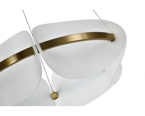 Оформить заказ Подвесная люстра Zortes ZRS.1210.60| VIVID-LIGHT.RU