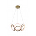 Заказать Подвесная люстра Zortes ZRS.30101.84| VIVID-LIGHT.RU