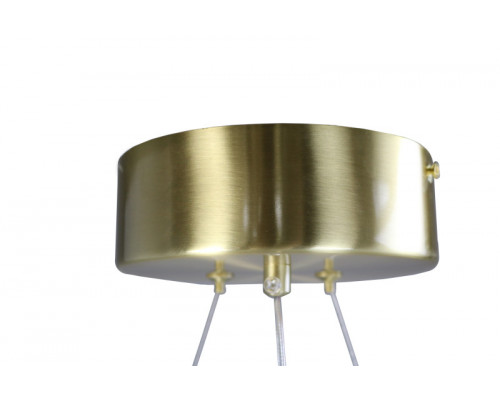 Заказать Подвесная люстра Zortes ZRS.1585.21| VIVID-LIGHT.RU