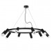 Оформить заказ Подвесная люстра Lightstar LR0203758751| VIVID-LIGHT.RU