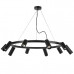 Купить Подвесная люстра Lightstar LR020375875| VIVID-LIGHT.RU