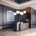 Купить Подвесная люстра ImperiumLoft 123396-22| VIVID-LIGHT.RU