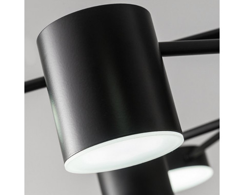 Оформить заказ Подвесная люстра ImperiumLoft 204088-26| VIVID-LIGHT.RU