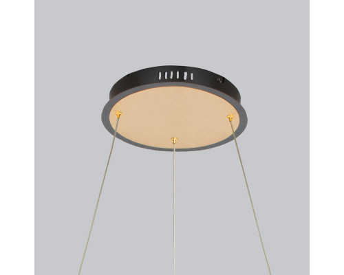 Оформить заказ Подвесная люстра DeMarkt 551012709| VIVID-LIGHT.RU