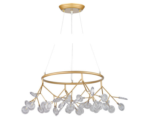 Купить Подвесная люстра AM Group AM7317-36R| VIVID-LIGHT.RU