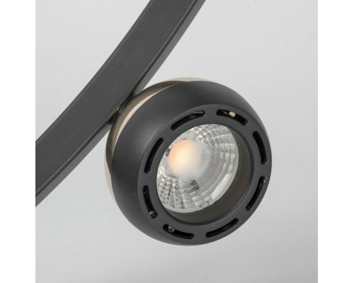 Оформить заказ Подвесная люстра Lussole LSP-7253| VIVID-LIGHT.RU