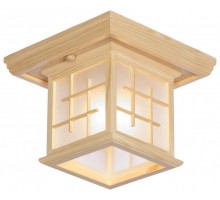 Накладной светильник VELANTE 592-717-01