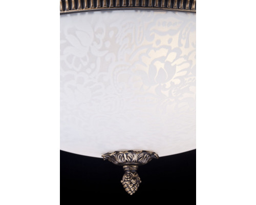 Заказать Накладной светильник Maytoni C908-CL-04-R| VIVID-LIGHT.RU