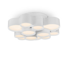 Накладной светильник Freya FR6043CL-L30W