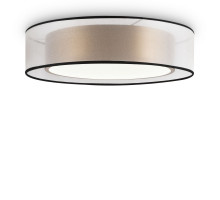 Накладной светильник Freya FR6005CL-L36G